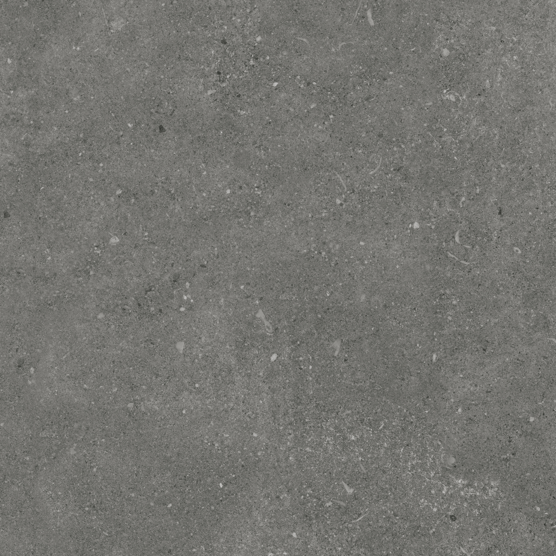 Плитка Ракушечник/Shellstone Мокко Мат. 60x60 Керамический гранит (0,36/1,8/46,8)