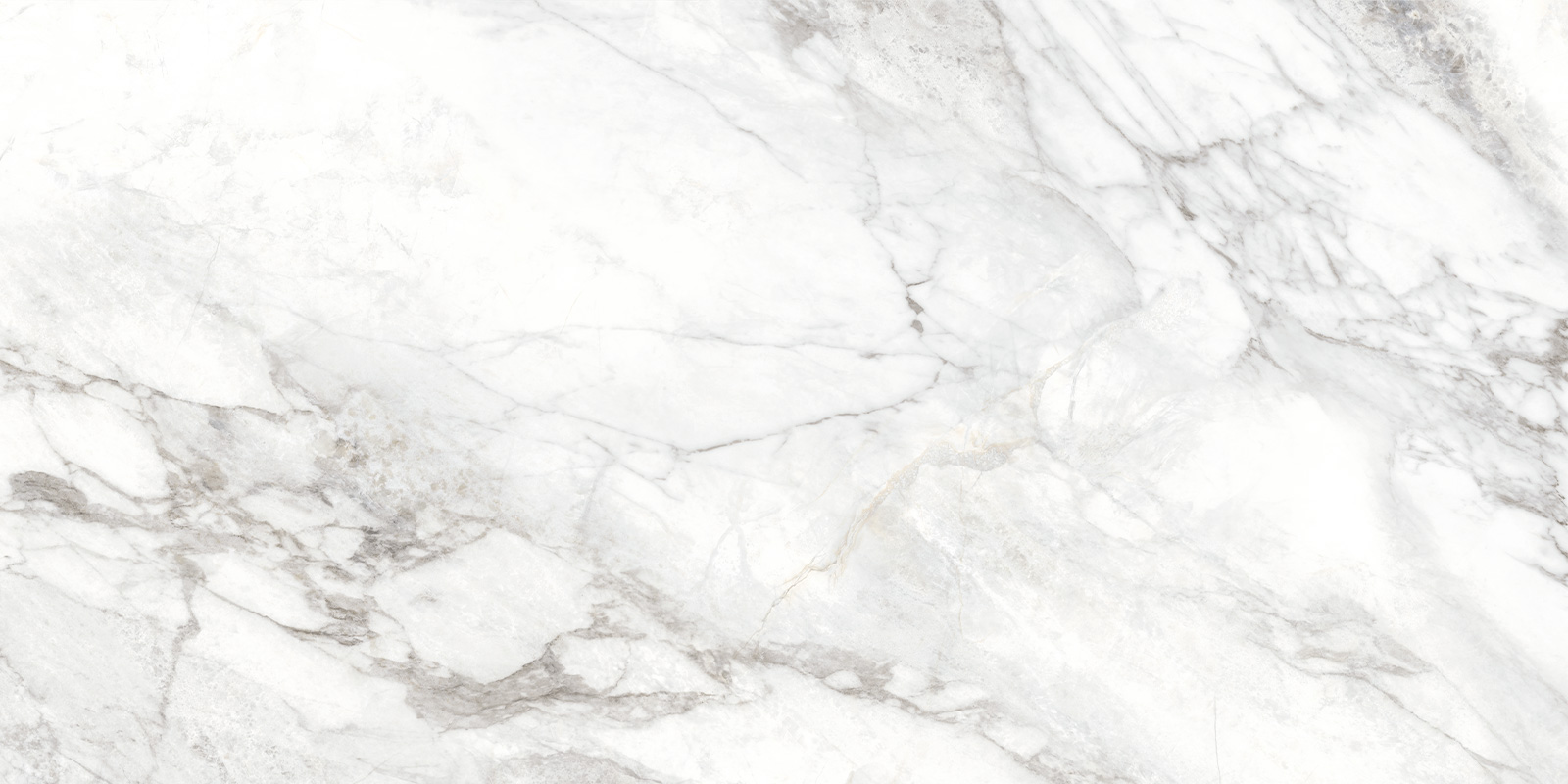 Bahamas Carrara D120242M Керамогранит матовый 1200*600