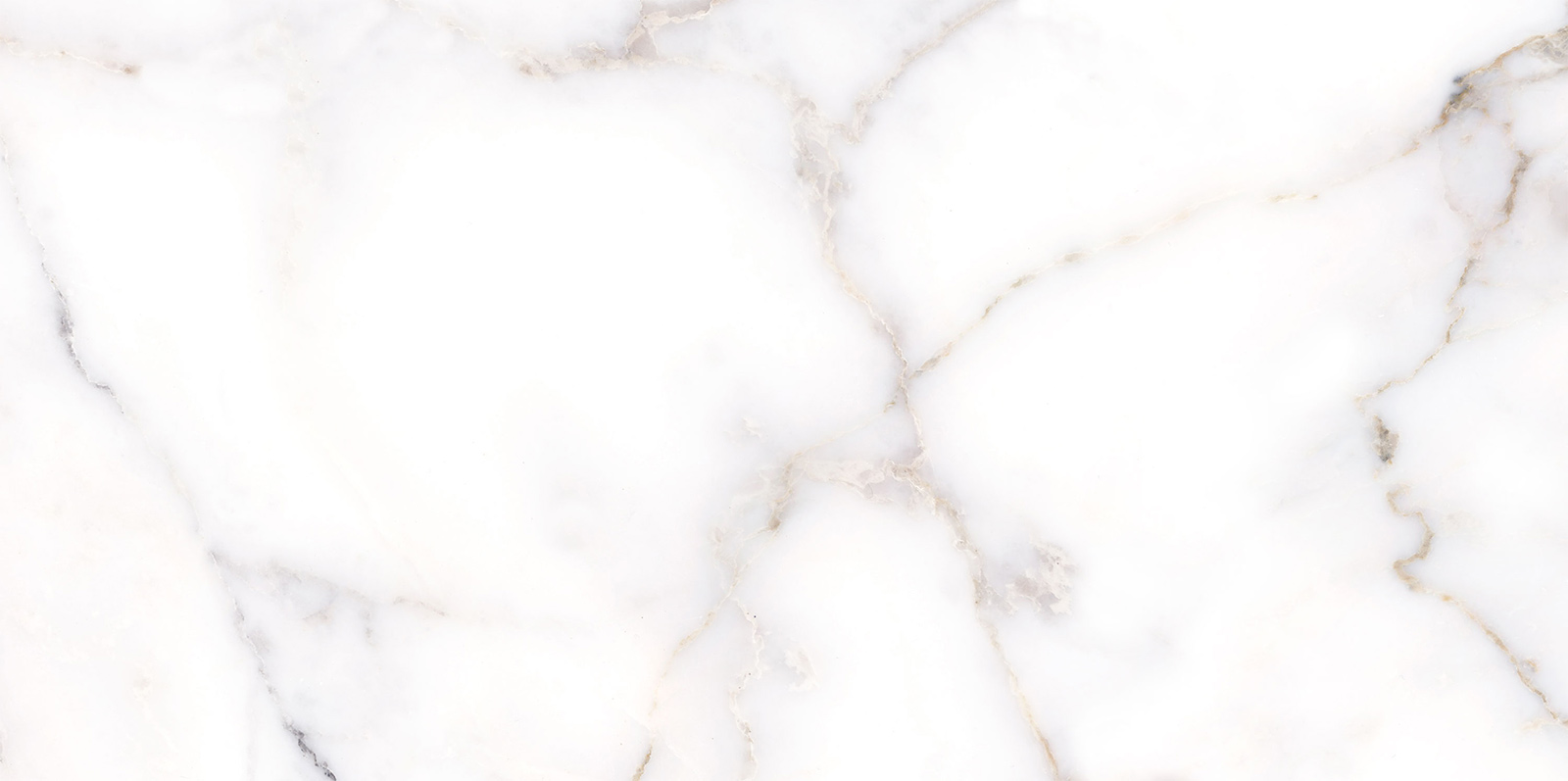TWU09GRG007 плитка облицовочная Grigio 249*500