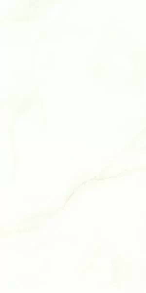 Керамогранит Aragon White 60*120