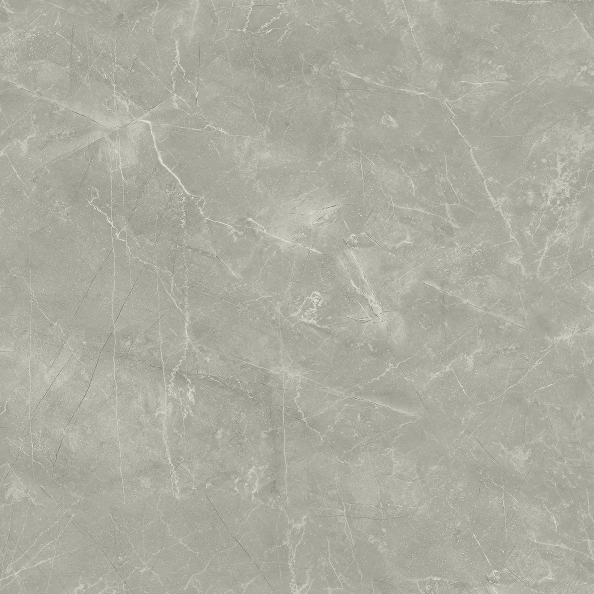 Керамогранит Wolf Grey 80х80