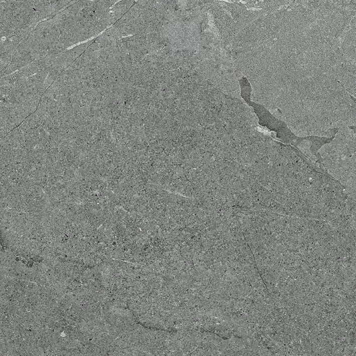 Керамогранит 100314070 Lucerna Silver 59.6x59.6