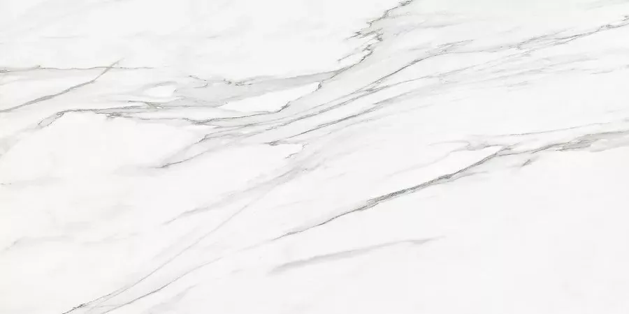 Керамогранит Callacata Silver Rect матовая 60x120