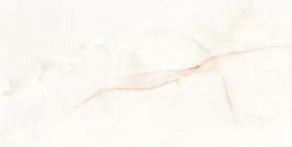 Керамогранит 017.869.0108.00283 ONIX WHITE compacglass Rect. 60x120