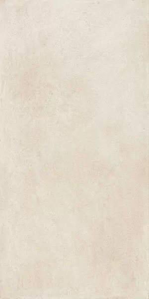 Керамогранит 610010002777 Snow 60x120