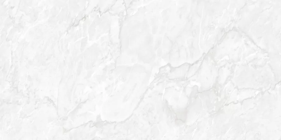 Керамогранит N20481 Carrara Pearl Polished 60x120
