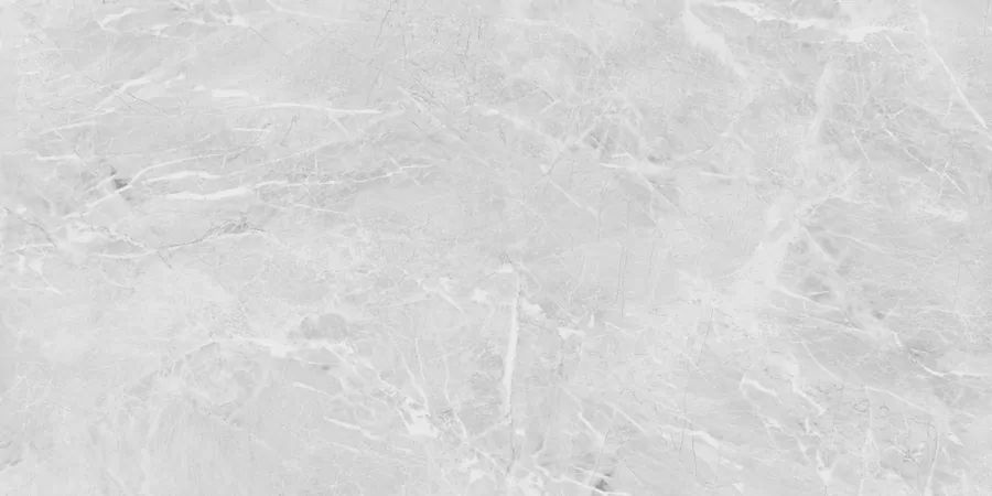 Керамогранит N20467 Eva Grey Polished 60x120