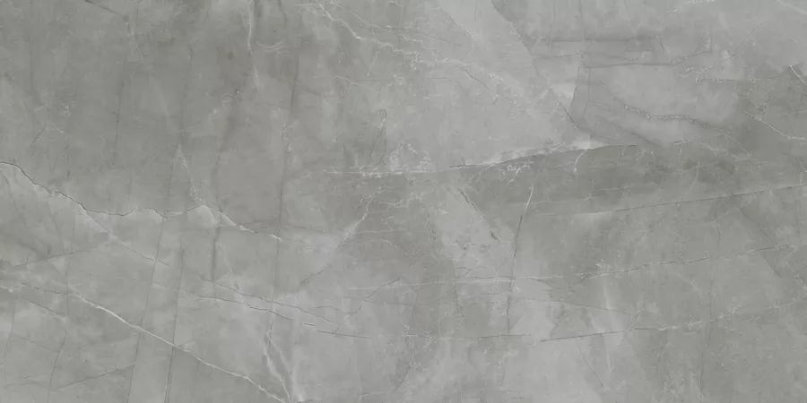 Керамогранит N20469 Passion Grafito Soft 60x120
