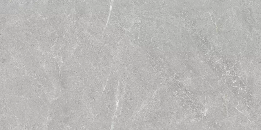 Керамогранит N20438 Firenze Grey Tm 60x120