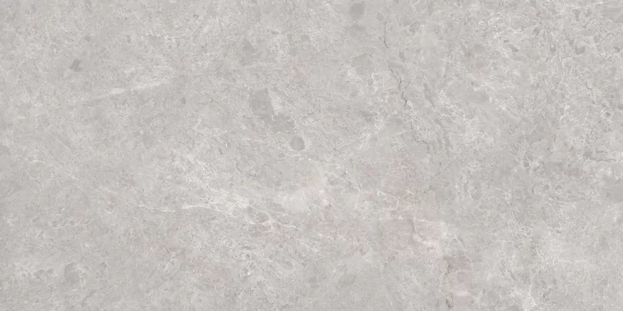 Керамогранит N20488 Tokyo Grey Polished 80x160