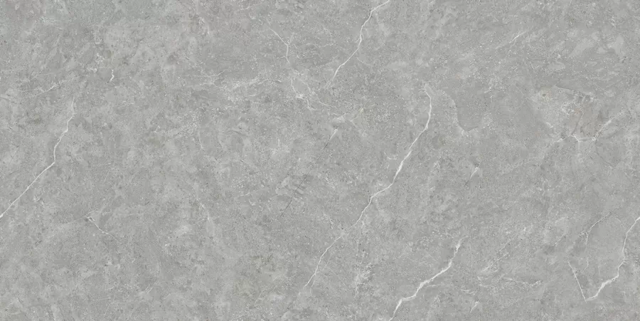 Керамогранит N20445 Mica Grigio Tm 80x160
