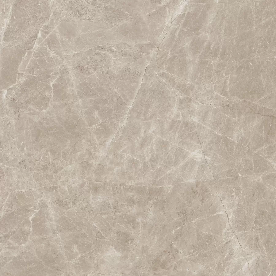Керамогранит N20462 Frappuccino Taupe Polished 120x120