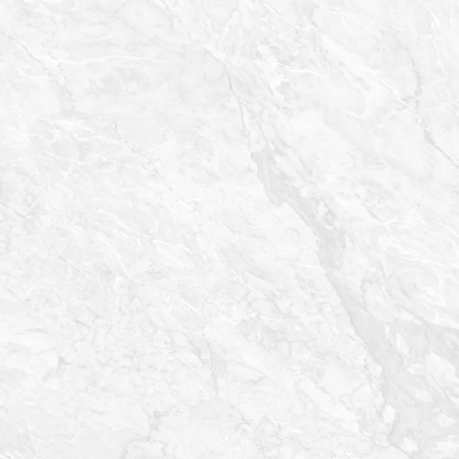 Керамогранит N20503 Carrara Pearl Polished 120x120