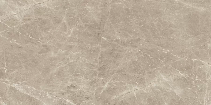 Керамогранит N20460 Frappuchino Taupe Polished 80x160