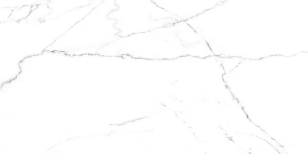 Керамогранит SG50002420R Discovery Blanco белый 60х119,5