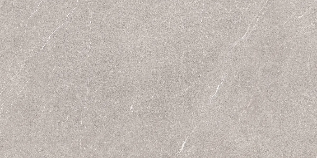 Плитка 00-00002208 Ebri Gris 31,5x63