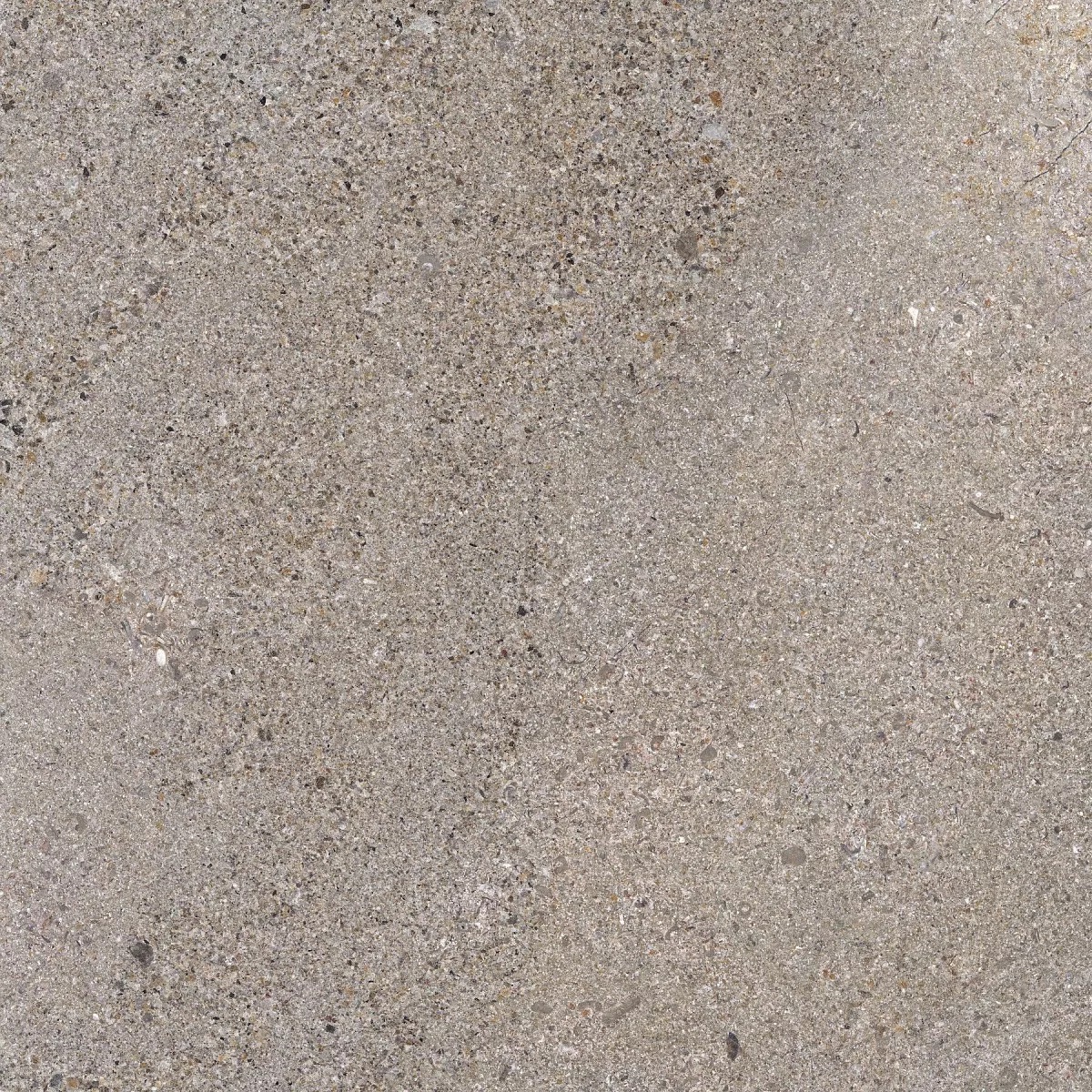 Керамогранит Terra Silver 60x60