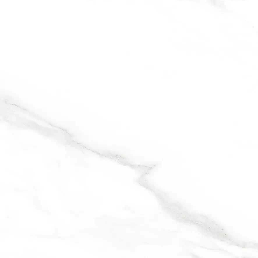 Керамогранит Carrara Excellent Silver Белый Матовый 60х60