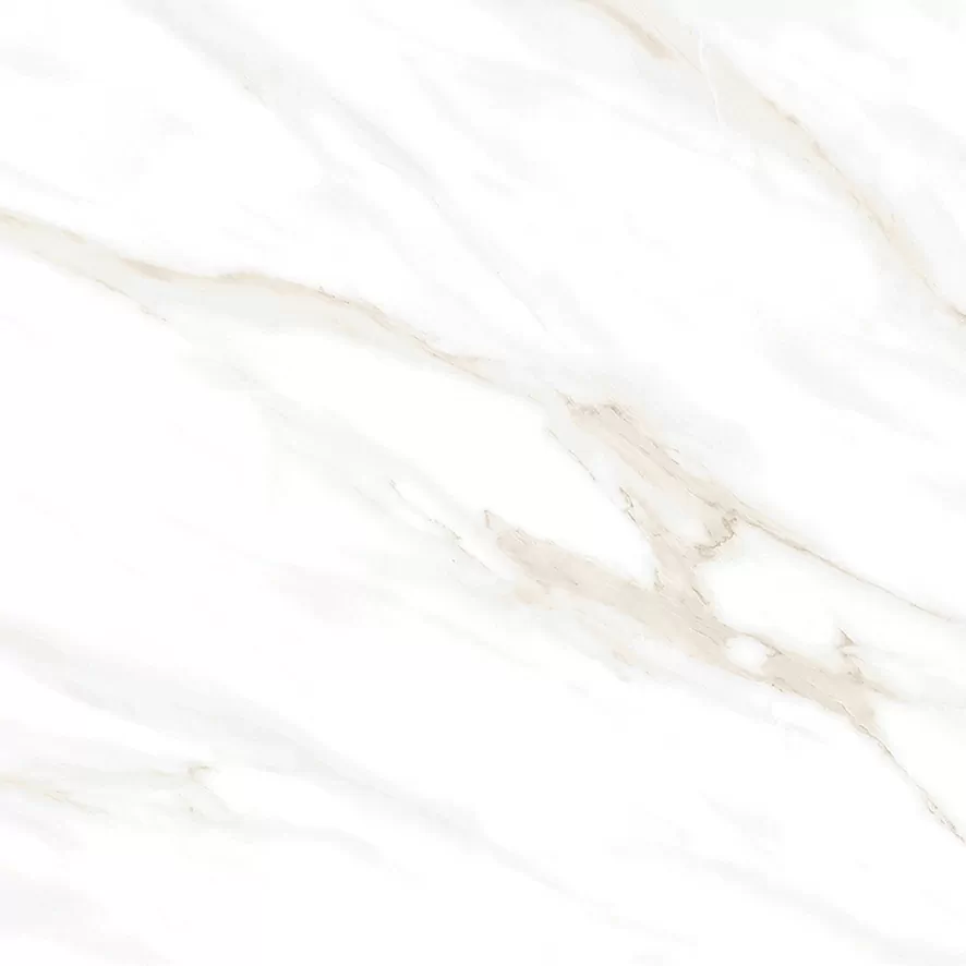Керамогранит Calacatta Clarity Gold Белый Матовый 60х60