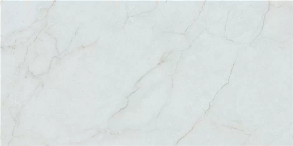 Керамогранит Caryn Bianco Pul Rect 60x120