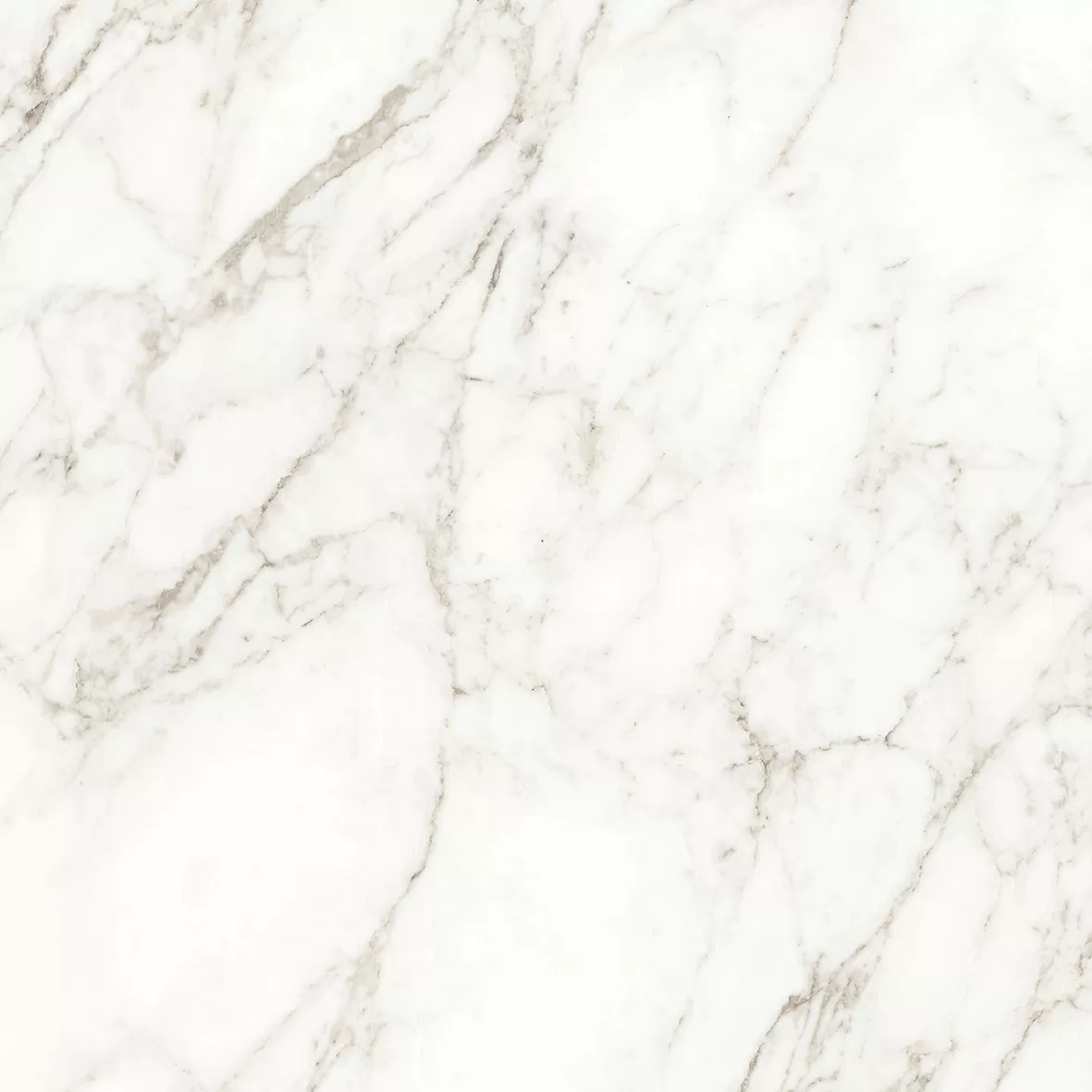 Керамогранит Carrara Immense Белый Полированный 80х80