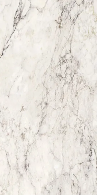 Керамогранит 274101 Breccia Capraia Nat Ret 60x120