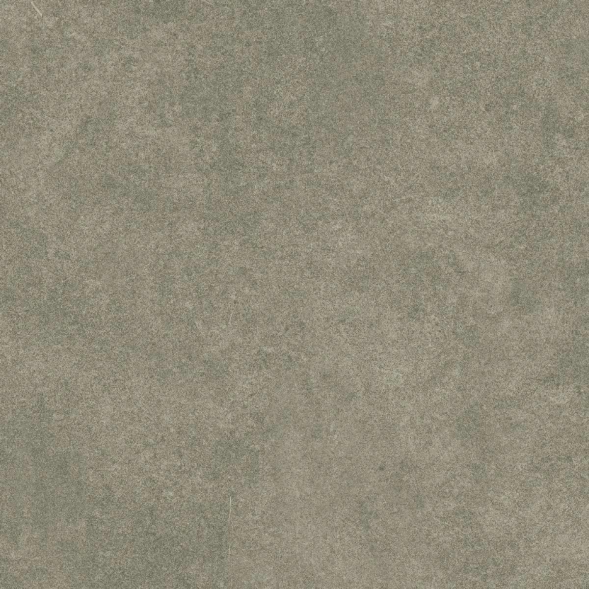 Керамогранит Levels Forest Matt 20x20