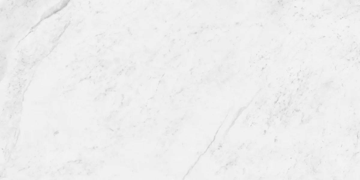 Керамогранит N12033 Antique Bianco Polished 60x120
