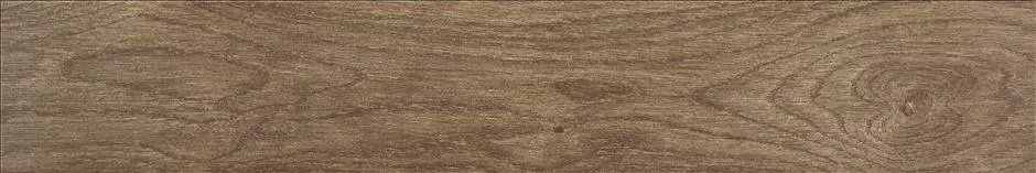 Керамогранит Asbury Forest 15x90