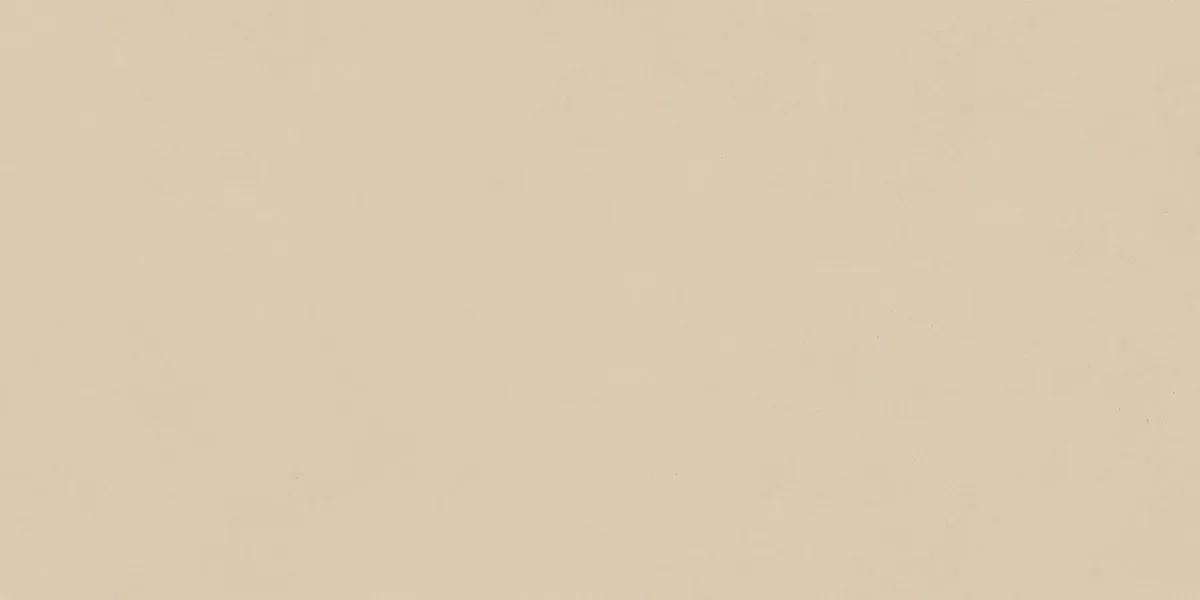 Керамогранит N12042 Blossom Ivory Matt 60x120