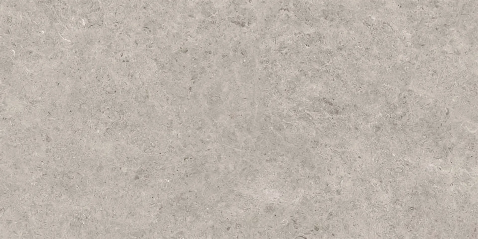 Керамогранит Seashell Natural R10 Carving 60x120