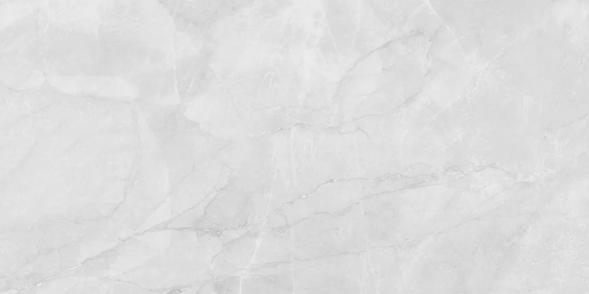 Керамогранит LP6012G0231R Berna Silver светло-серый матовый 59,5х119,1