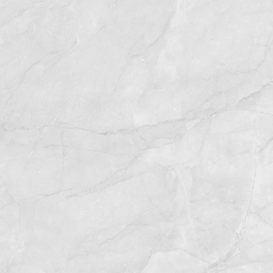Керамогранит LP6060G0241R Berna Silver светло-серый матовый 59,5х59,5