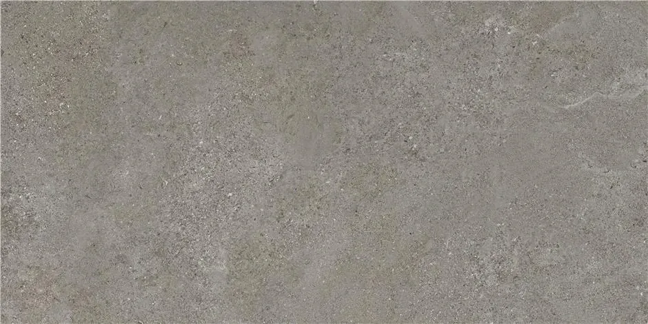 Керамогранит CAN5AREIDD5A Arenite Dark Grey MT 60x120