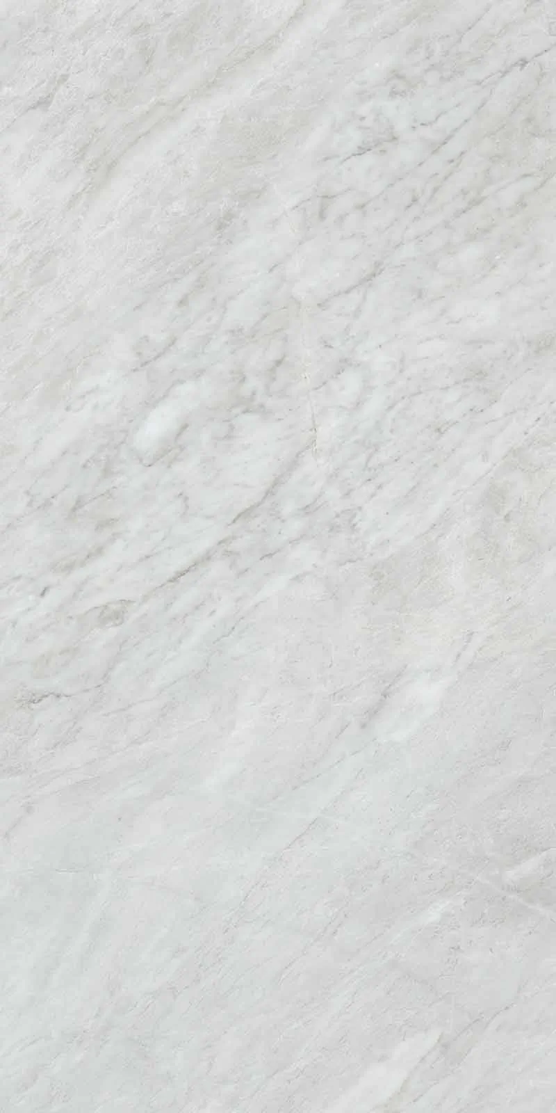 Керамогранит JND2 Versilia Bardiglio Silver Spazzolato R10 RT 60x120