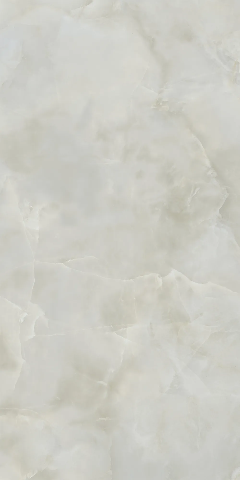 Керамогранит AIAX Anima Ever Royal Onyx Matt RT R10B 60x120