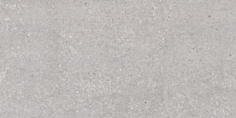 Керамогранит San Vicente Natural Matt 60x120