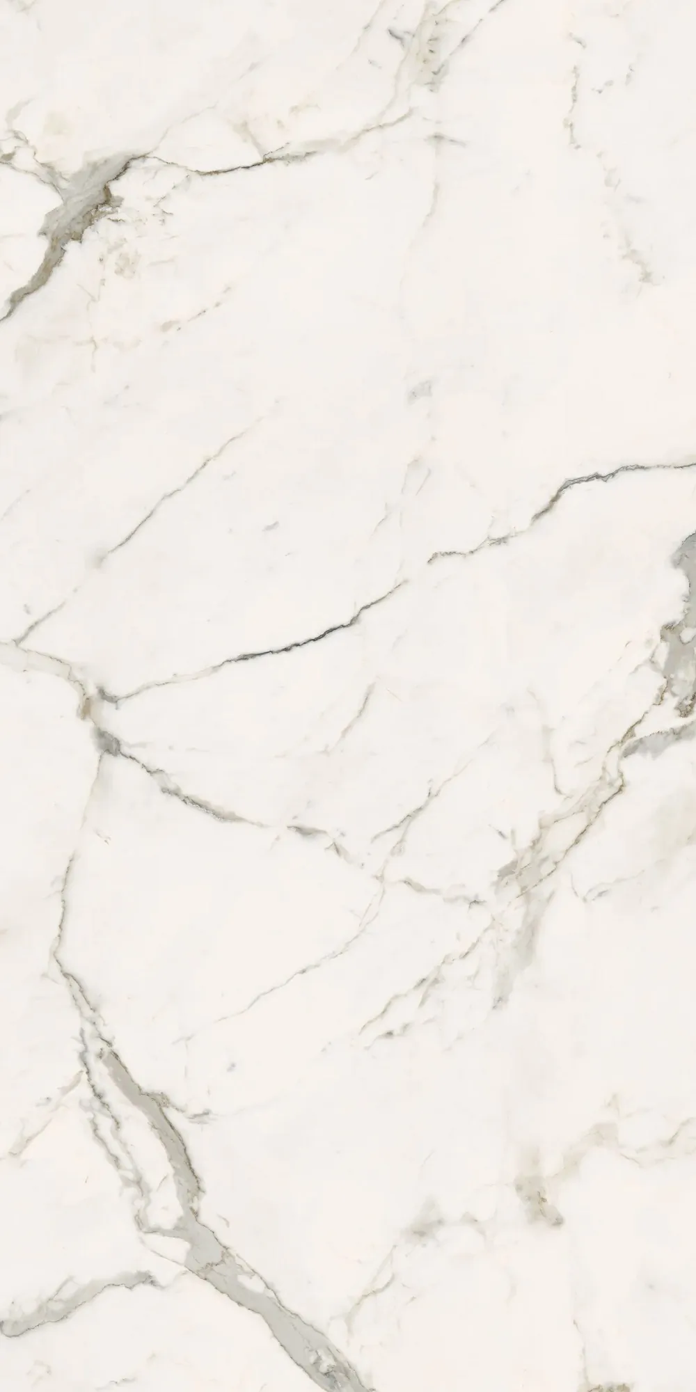 Керамогранит INF2659 Infinito 2.0 Calacatta Light Matt 6mm 60x120