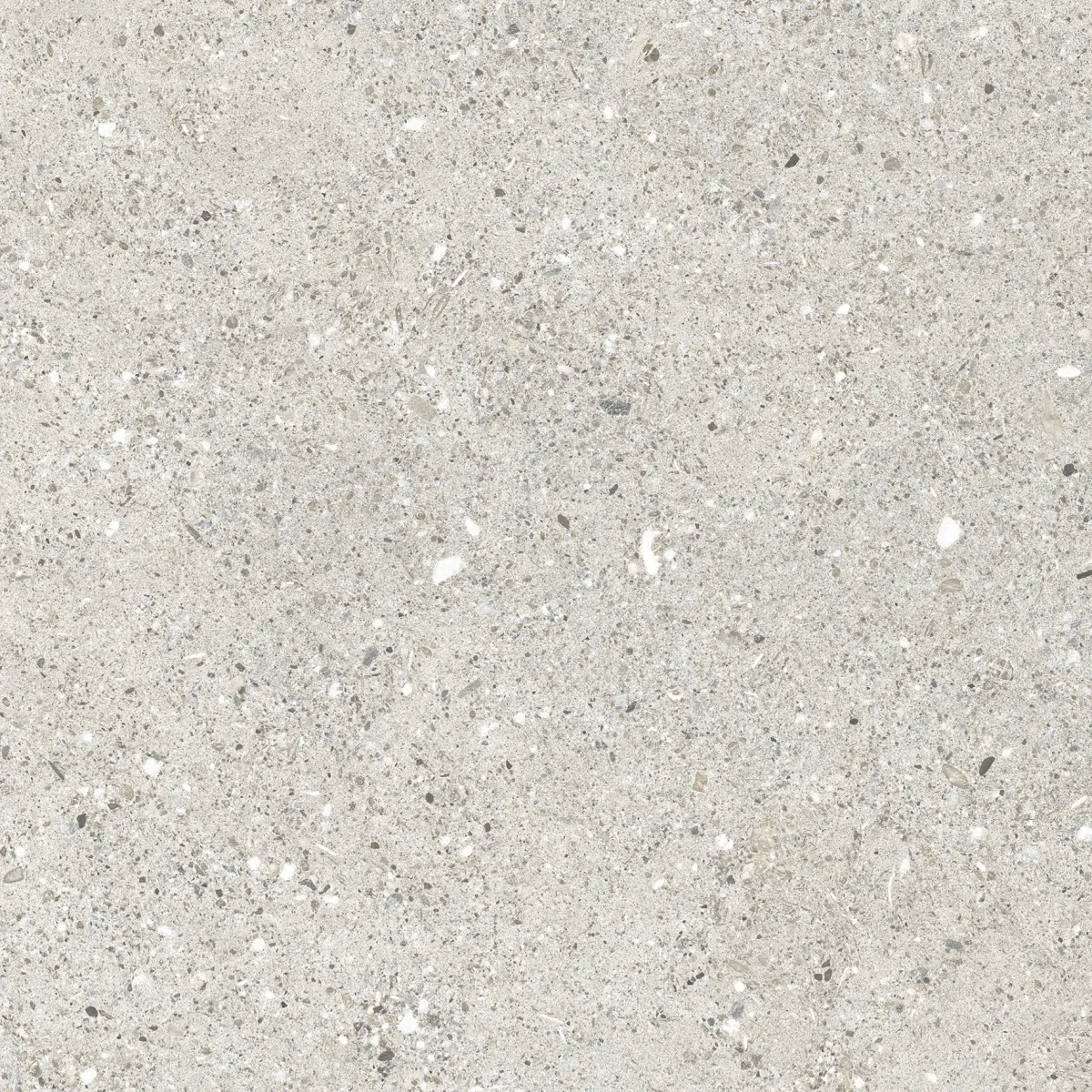 Керамогранит CR6060G0461R Granito Grigio серый матовый 59,5х59,5