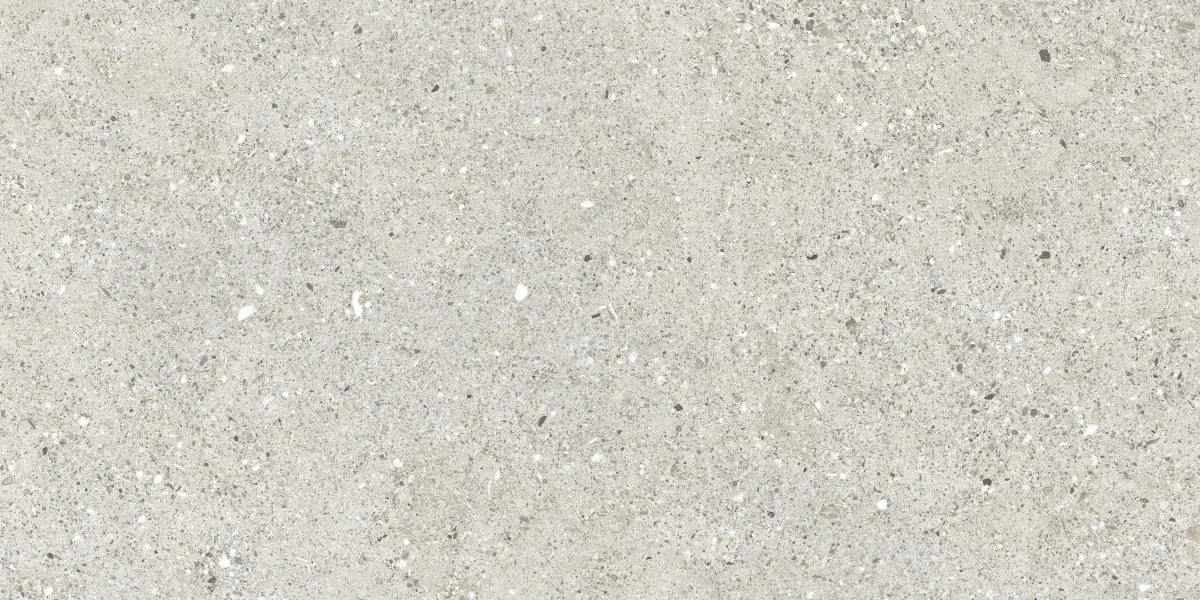 Керамогранит CR6012G0471R Granito Grigio серый матовый 59,5х119,1
