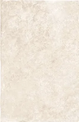 Керамогранит 117110 Terre Del Sole Avorio 40x60