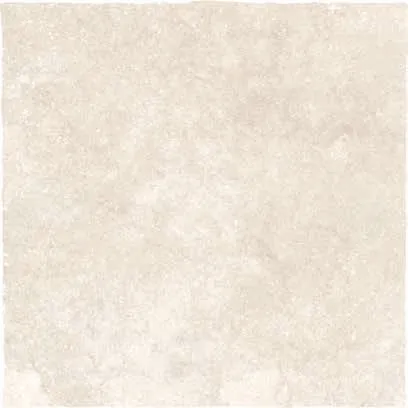 Керамогранит 117100 Terre Del Sole Avorio 60x60