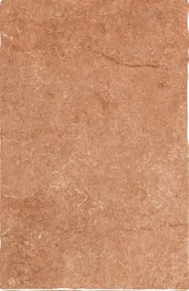 Керамогранит 117112 Terre Del Sole Granato 40x60