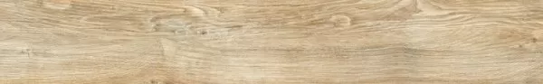 Керамогранит My Space Cognac Rett 20x120
