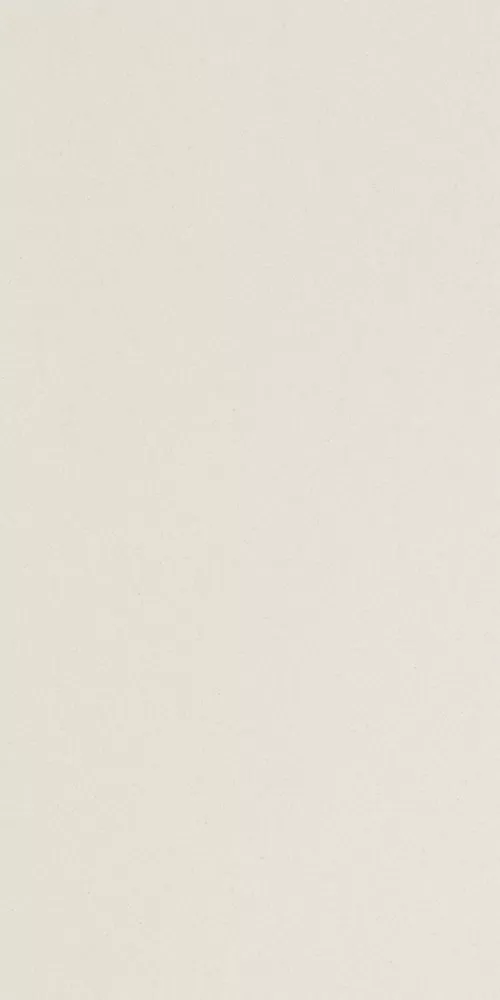 Керамогранит ICON WHITE 36 30x60