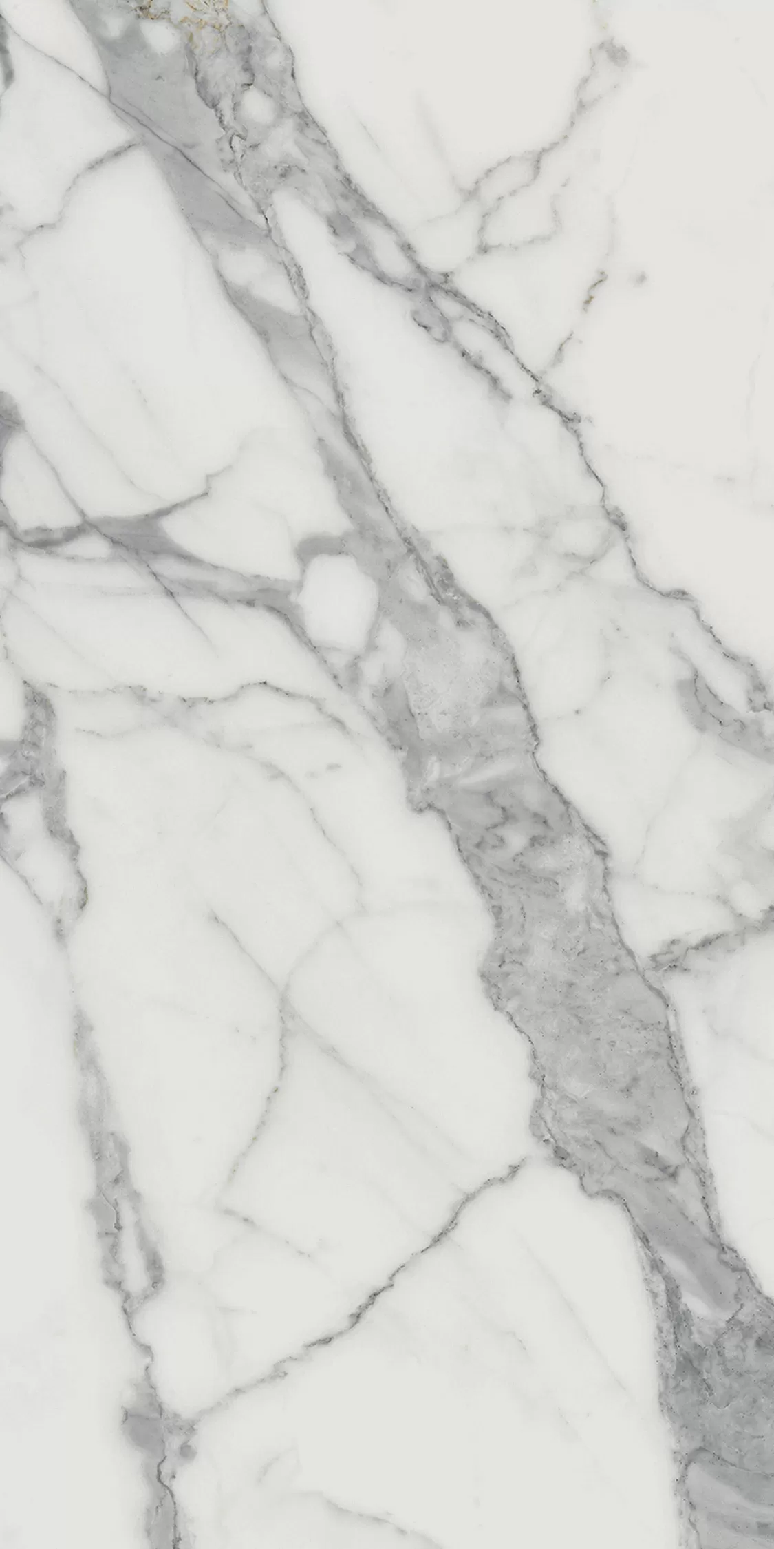 Керамогранит 610015000402 Charme Evo Statuario Lux 60х120