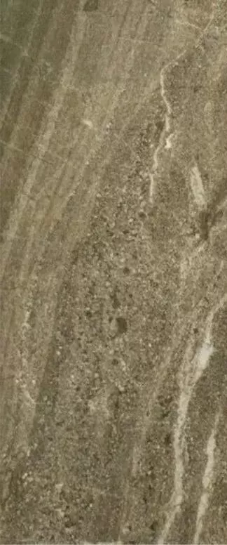 Плитка Daino Reale Natural 25x70