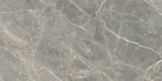 Керамогранит 761728 ETOILE GRIS GLO RET 120X280