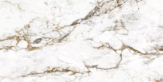 Керамогранит BRECCIA TORTONA LAP RT 60x120