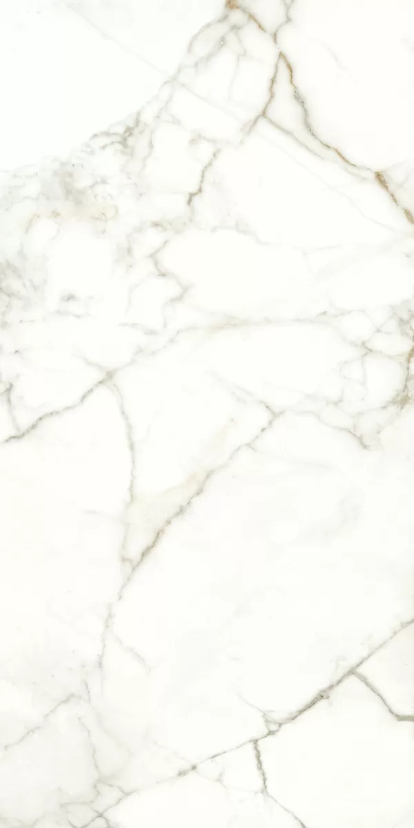 Керамогранит 117782 EMOTION LEVIGATO+RETTIFICATO 60x120